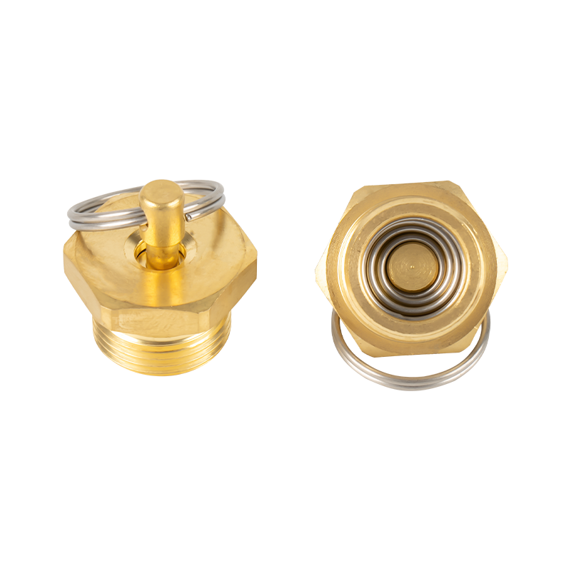 Pagpupulong ng Drain Valve Pagpupulong ng Drain Valve